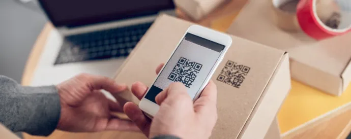 Laienes EVS/TK 83 „Ringmajandus“ käsitlusala