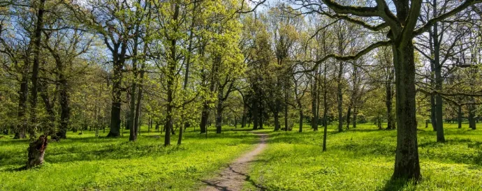 EVS customer service will be closed on April 3