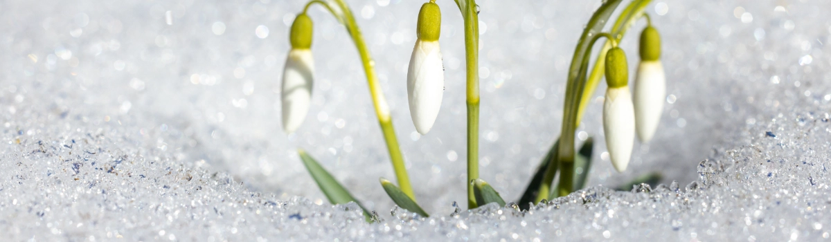 ISO 14001:2026 – an update is on the way