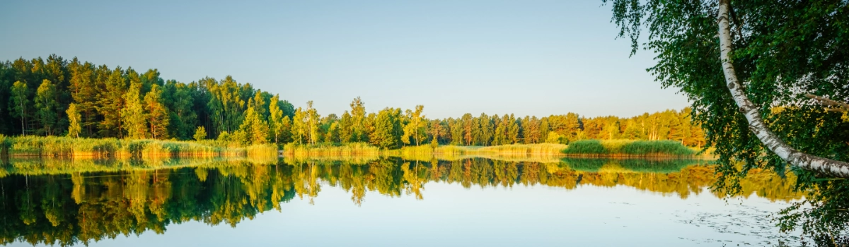 Keskkonnajuhtimissüsteemi standard EVS-EN ISO 14001 on uuenenud