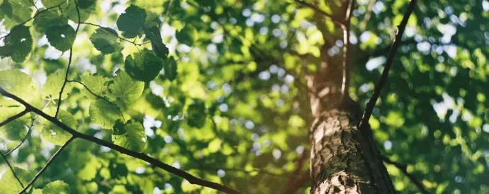 ISO 14001 and greenhouse gas emissions