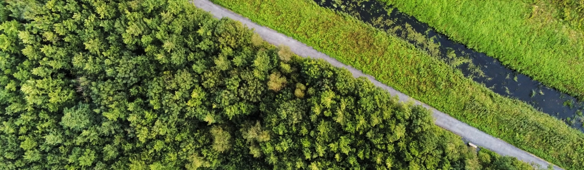 EVS-EN ISO 14001:2026 on nüüd saadaval eesti-inglise paralleeltekstina